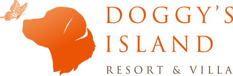 【愛犬のXmasプレゼント!】12/6・7 ドギーズアイランドのクリスマスマーケットに出展!